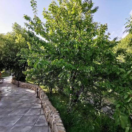 Villa Marel Trefacio Екстериор снимка