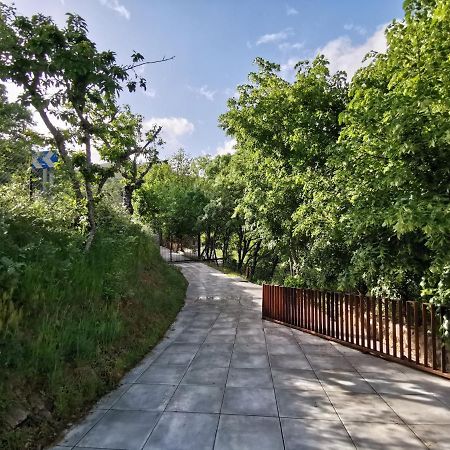 Villa Marel Trefacio Екстериор снимка