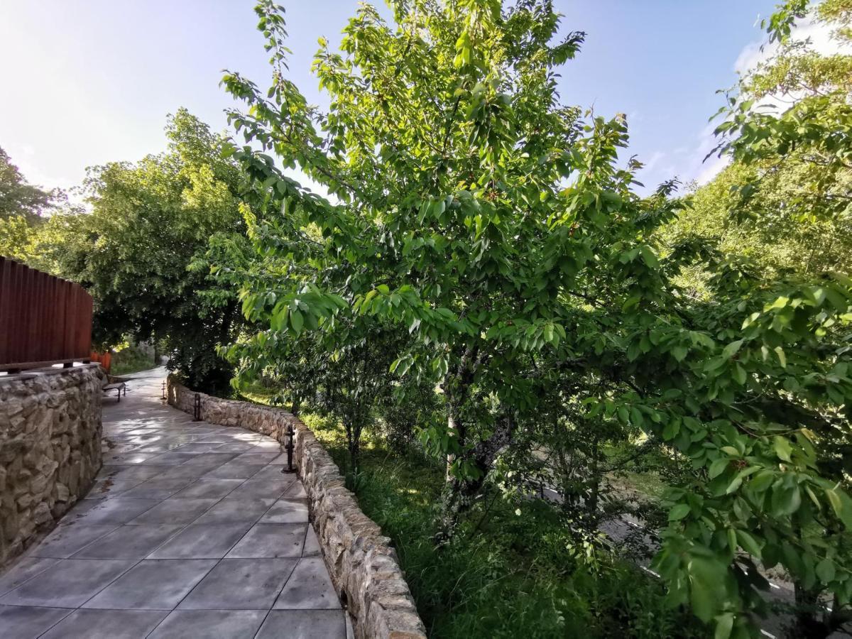Villa Marel Trefacio Екстериор снимка